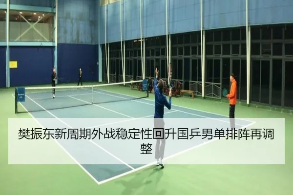 樊振东新周期外战稳定性回升国乒男单排阵再调整